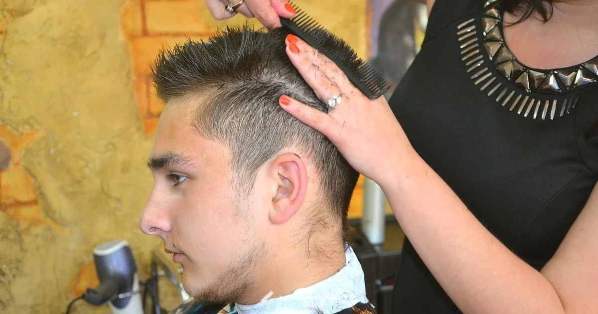 Are L'Ange Dryers Good Are L'Ange Dryers Good - Easy DryVent