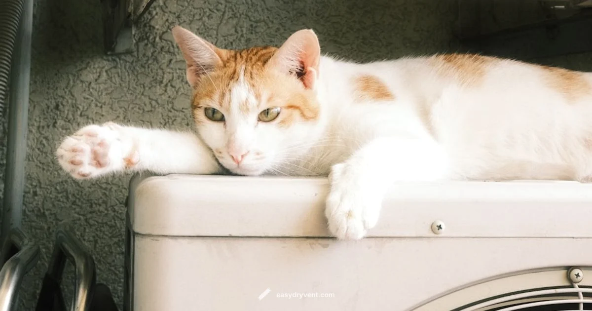 Dryer Trouble Guide - Easy DryVent