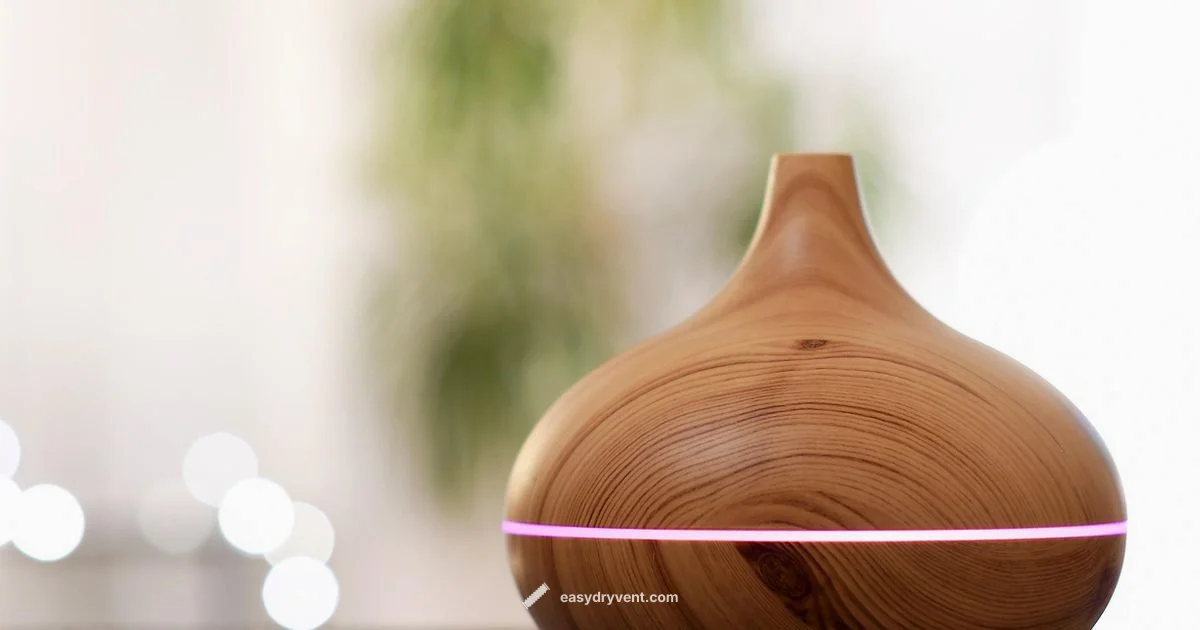 Frizz-Free Drying - Easy DryVent