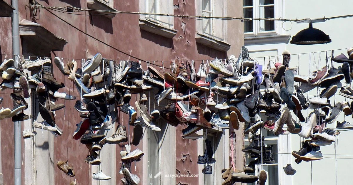 Dryer & Shoes Guide - Easy DryVent