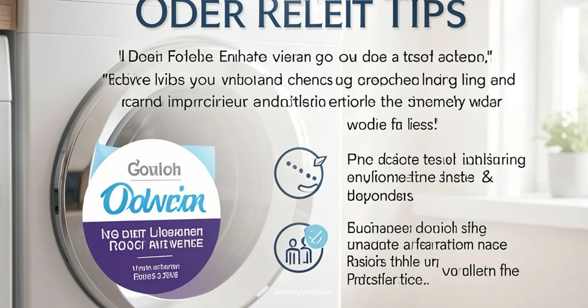 Fresh Dryer Odor - Easy DryVent