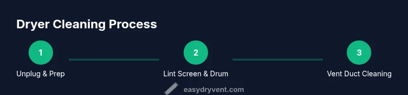 Infographic showing step-by-step dryer cleaning process