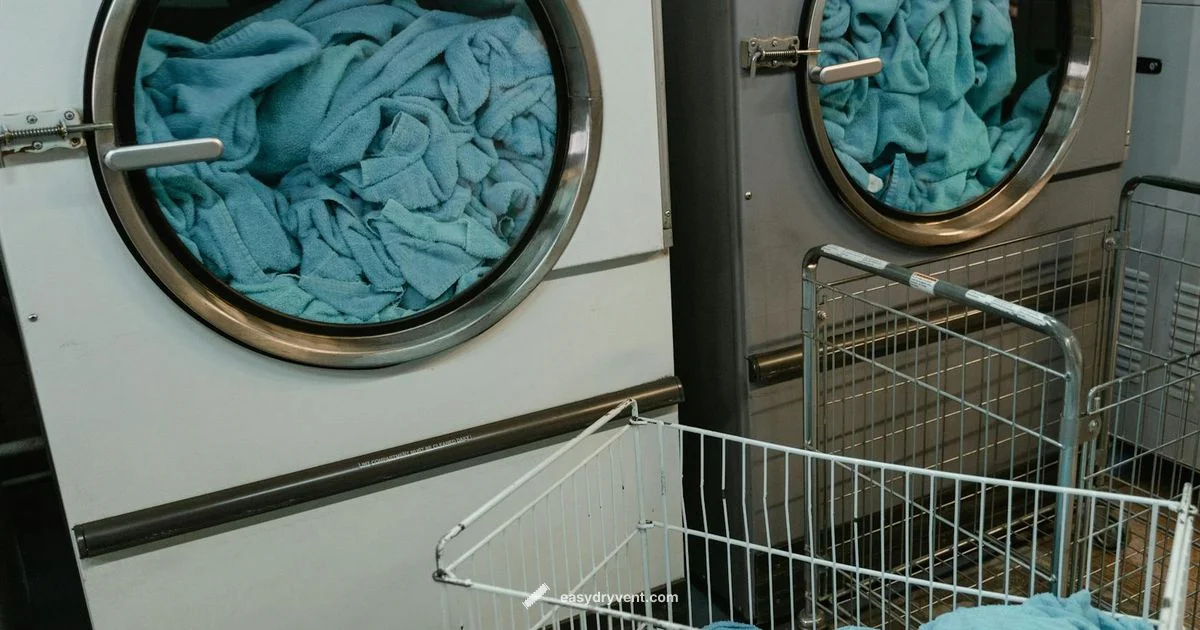 Dryer Vent Cleaning Dryer Vent Cleaning - Easy DryVent