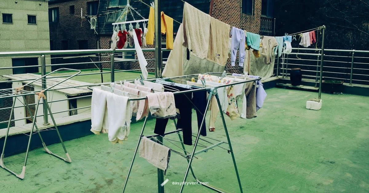 110V Dryer Guide - Easy DryVent