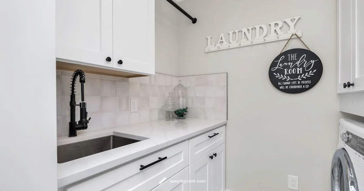 Lint Prevention Lint Prevention - Easy DryVent