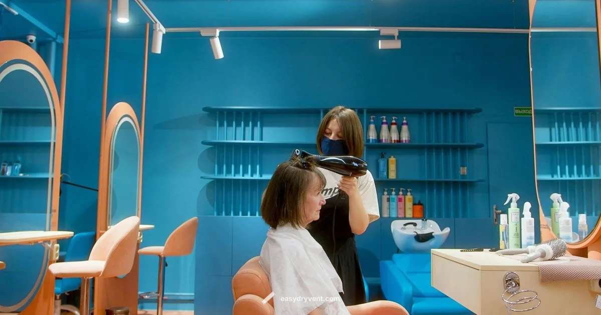 Blow Dryer Basics - Easy DryVent