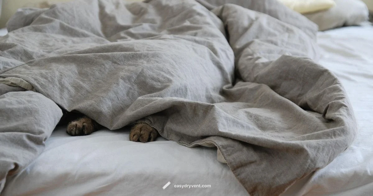 Comforter Drying Guide - Easy DryVent