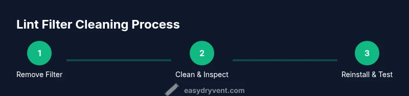 Three-step process for cleaning a dryer's lint filter