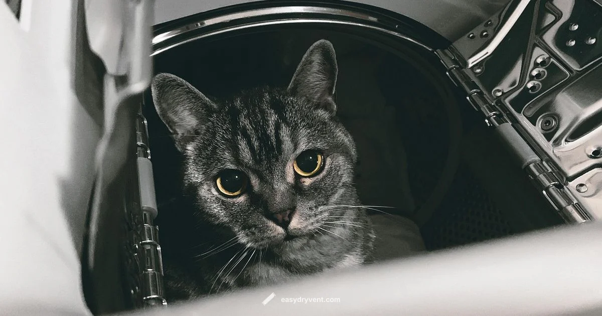 Pet Hair Free Laundry Pet Hair Free Laundry - Easy DryVent