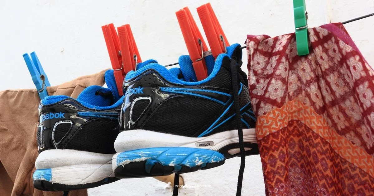 Dryer Worth It Guide - Easy DryVent