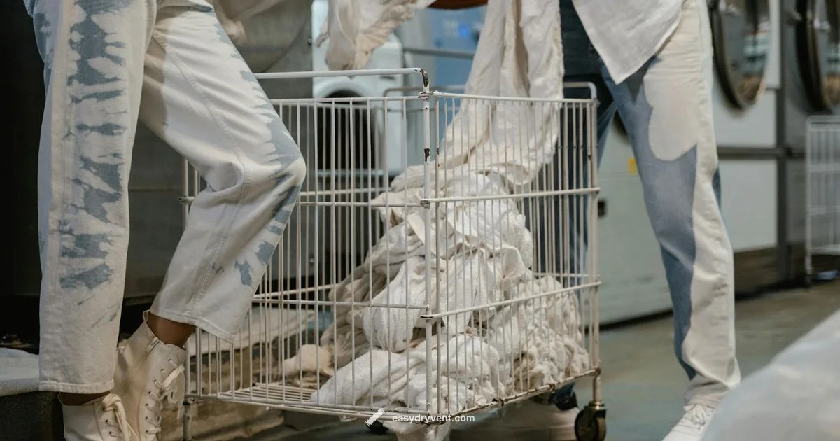 Washer Dryer Guide Washer Dryer Guide - Easy DryVent