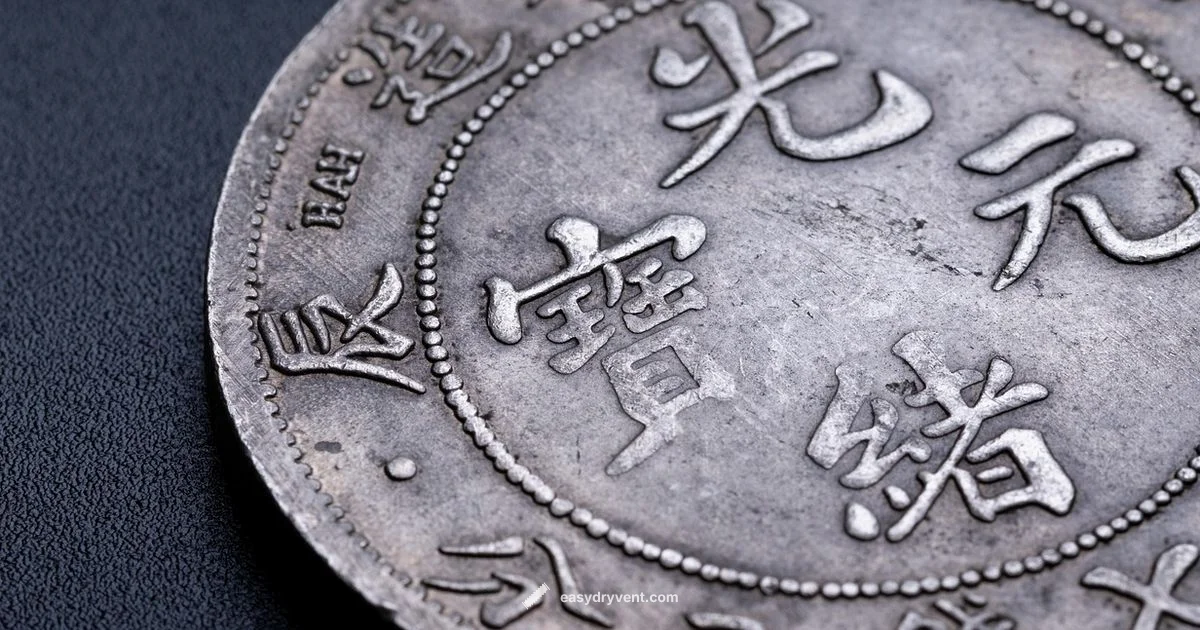 Money in Dryer - Easy DryVent