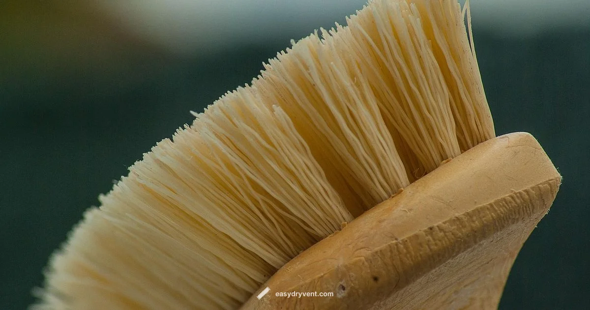 Dryer Not Drying Dryer Not Drying - Easy DryVent