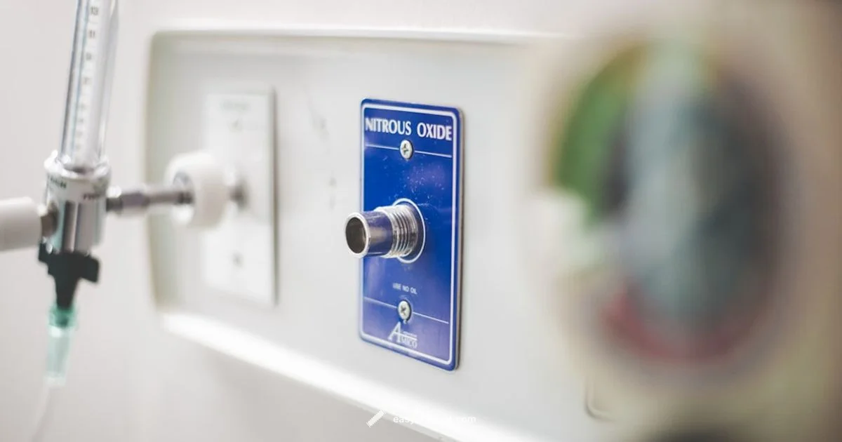 Gas or Electric - Easy DryVent