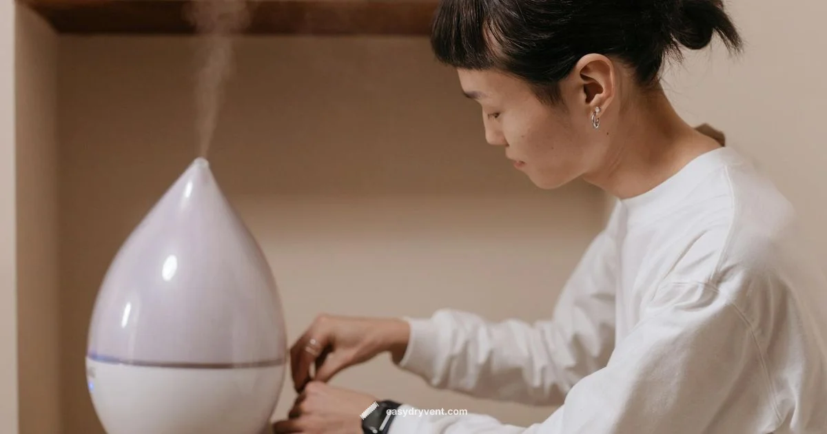 Air Dryer vs Dehumidifier Air Dryer vs Dehumidifier - Easy DryVent