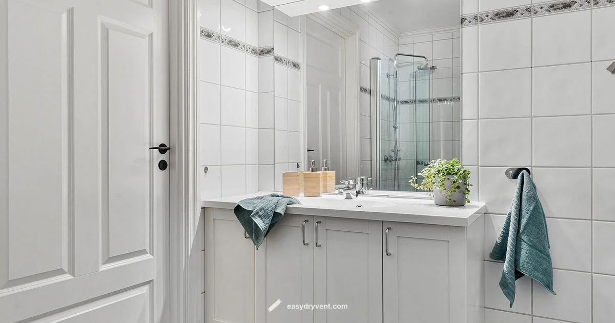 L Ange Hair Dryer - Easy DryVent