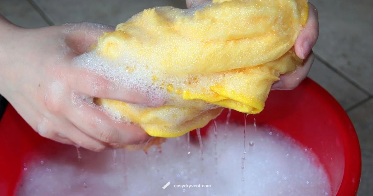 Dryer Vent Cleaning - Easy DryVent