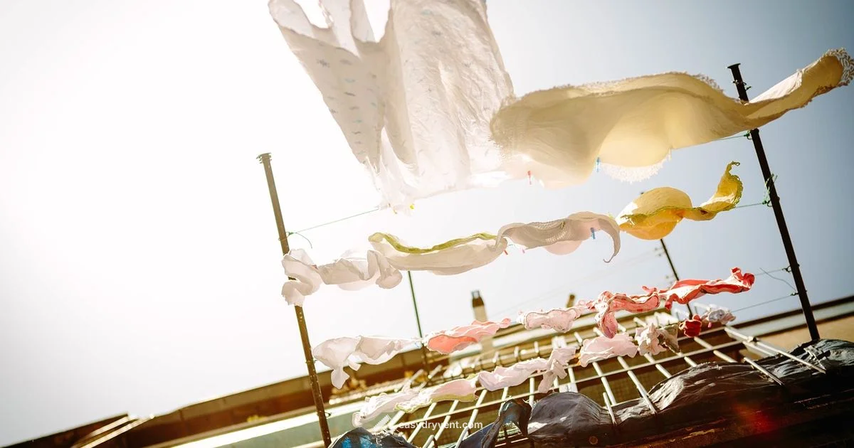 Dryer Care Guide - Easy DryVent