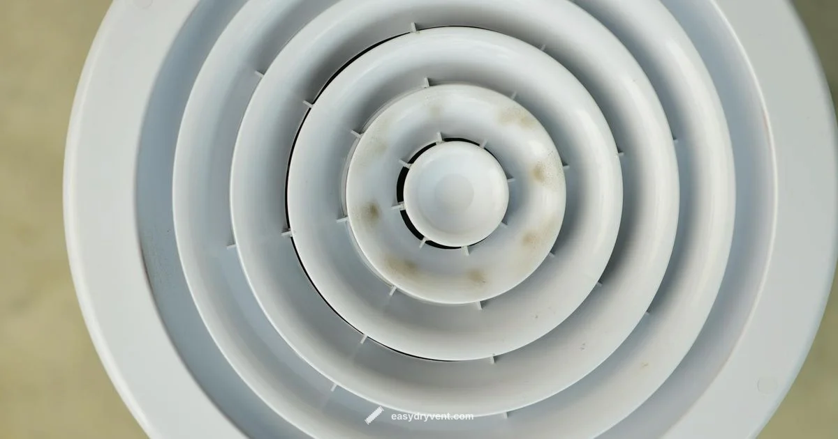 Dryer Lint Check - Easy DryVent