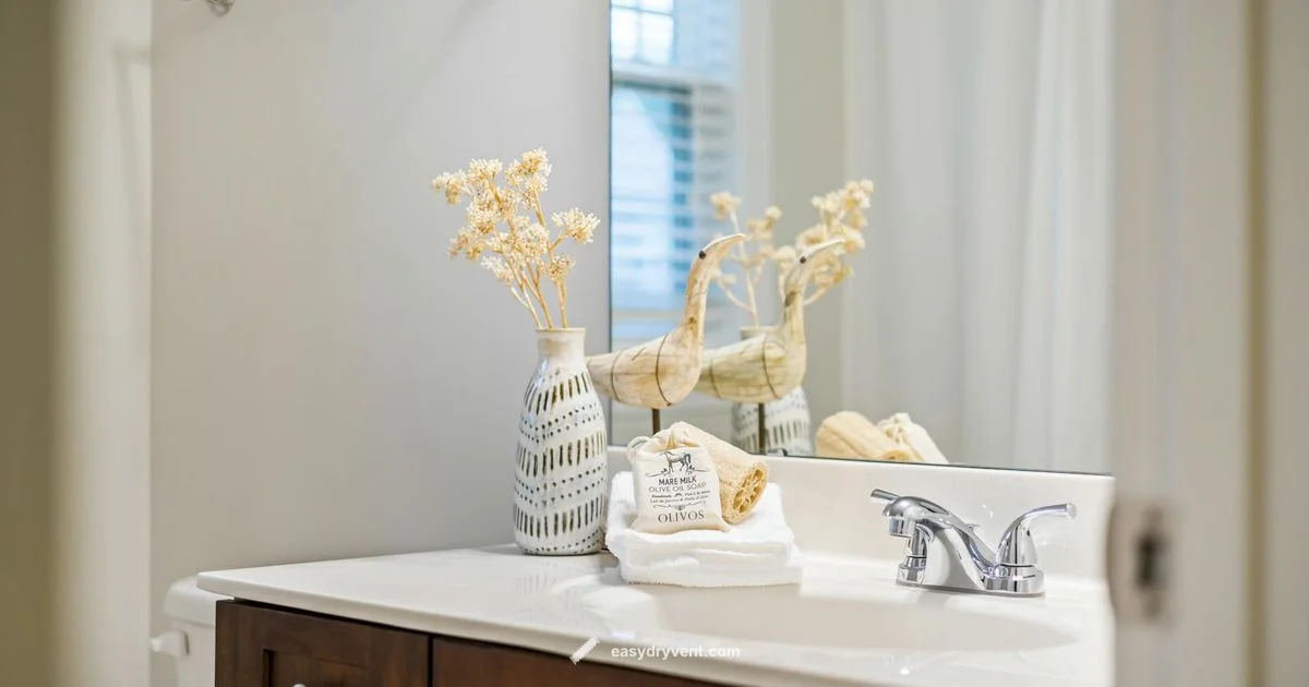 Japanese Dryer Guide Japanese Dryer Guide - Easy DryVent