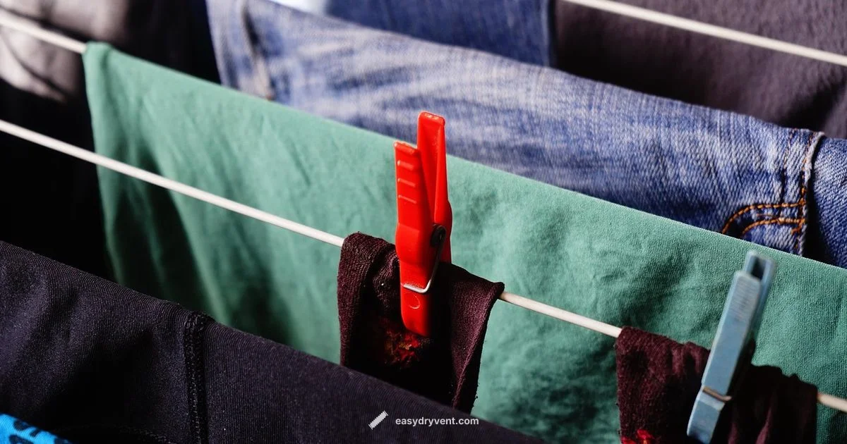 Lint Filter Safety - Easy DryVent