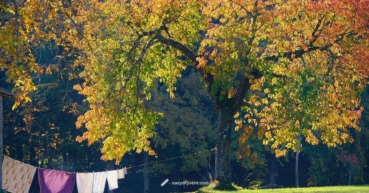 Outdoor Drying Guide - Easy DryVent