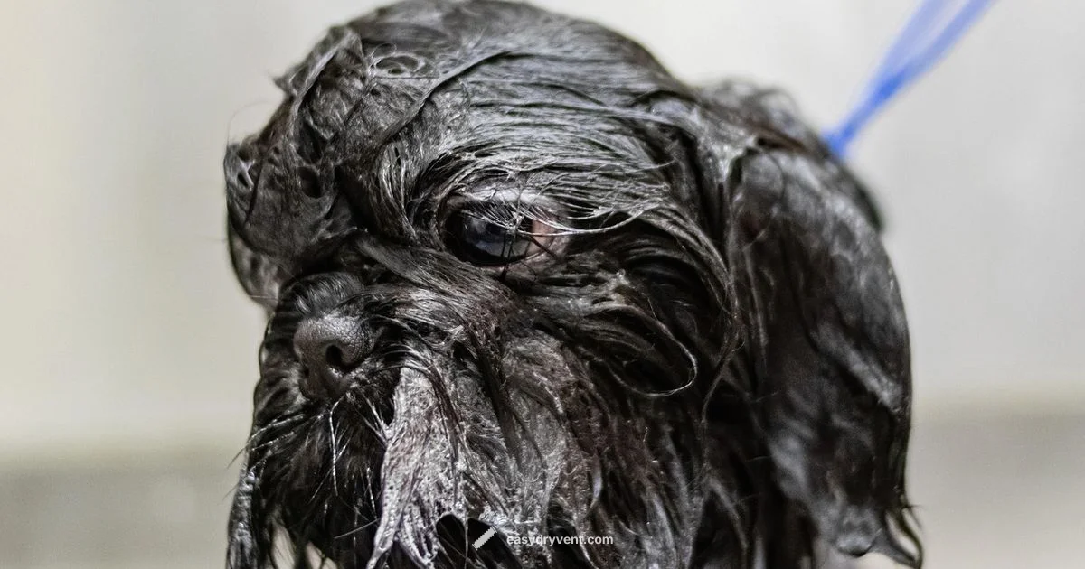 Gentle Grooming Dryers - Easy DryVent