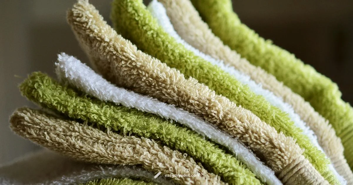 Flea Control in Laundry - Easy DryVent