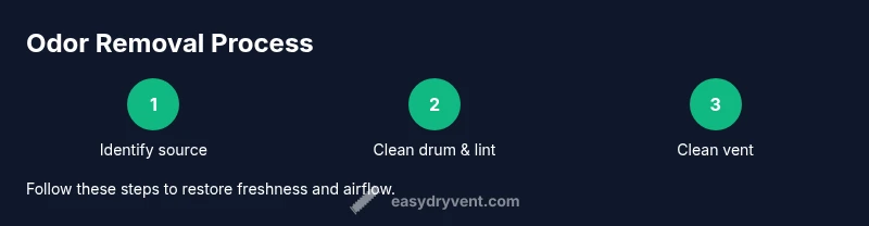 Infographic showing deodorizing steps for a dryer