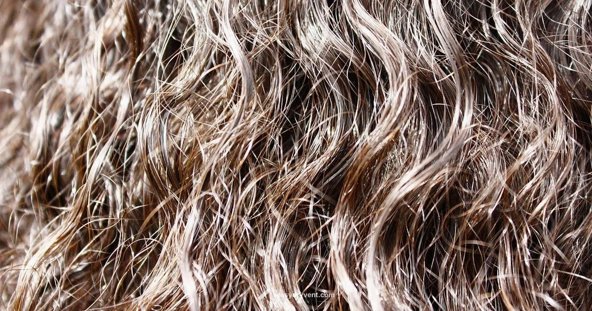 Curl-Ready Dryers - Easy DryVent