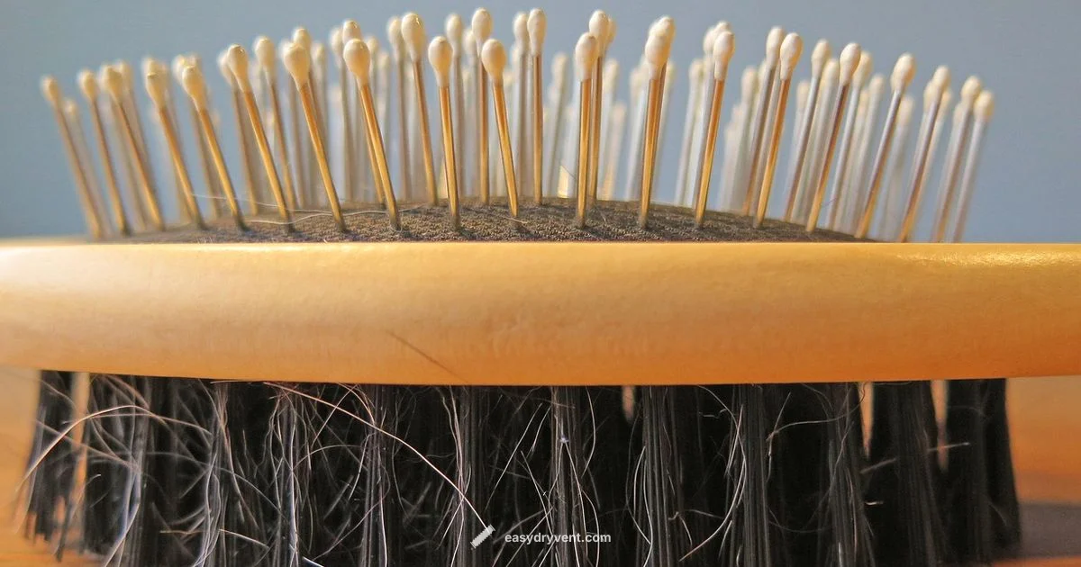 Hair Dryer Comb Guide - Easy DryVent