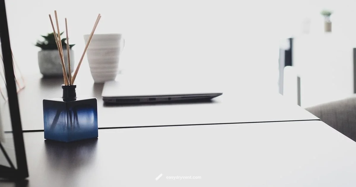 Diffuser Hair Dryer Guide - Easy DryVent