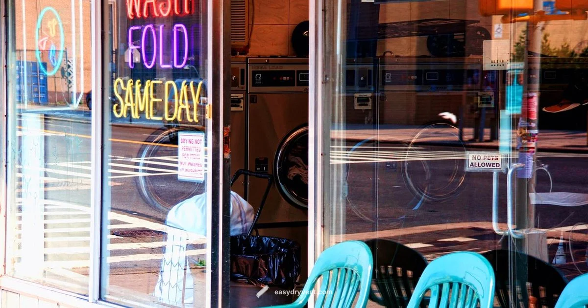 Dryer Coin Explained - Easy DryVent