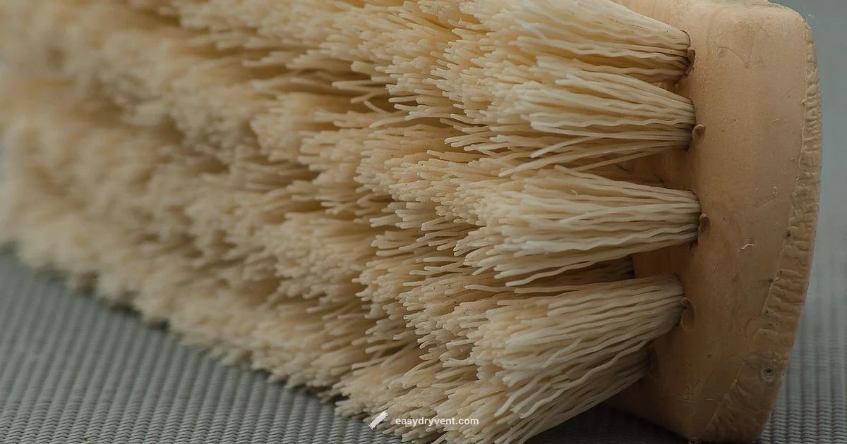 When to Replace Dryer When to Replace Dryer - Easy DryVent