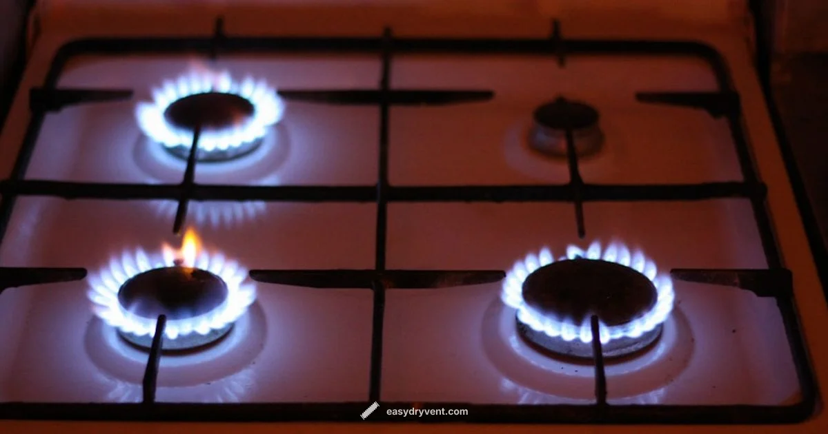 Gas vs Electric Dryers - Easy DryVent