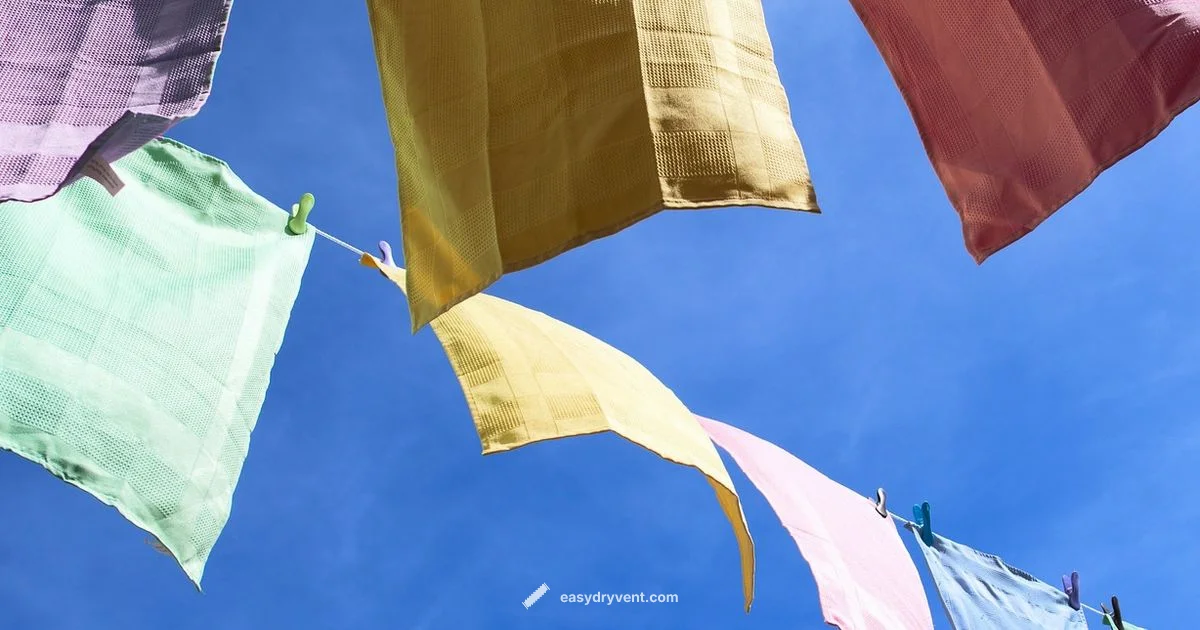 Dry Polyester Safely - Easy DryVent